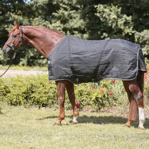 Κάλυμμα στάβλου για άλογο Kavalkade Stallion 400 g image-0