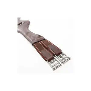 Cintos de passeio com elástico Kavalkade Shape 125 cm image-1