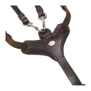 Collar de caza de 5 puntos Kavalkade Leyla image-2