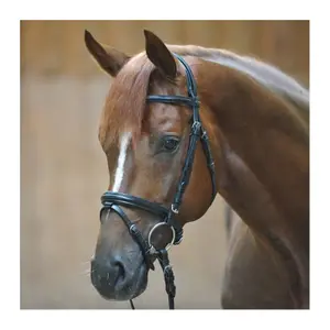 Riding bridles Kavalkade Quentin image-1