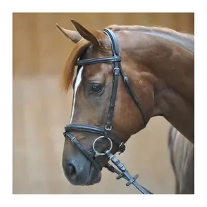 Riding bridles Kavalkade Quentin image-3