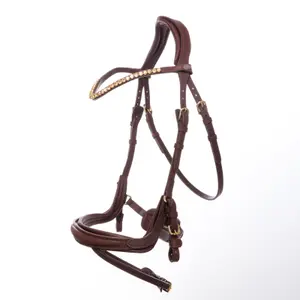 Zaumzeug Reiten Kavalkade Caliano Cerra English Nb. With Flash