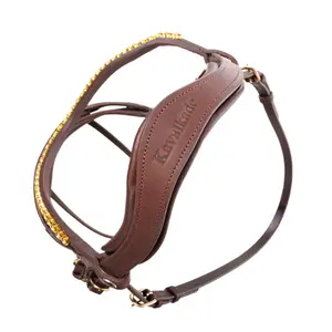 Zaumzeug Reiten Kavalkade Caliano Cerra English Nb. With Flash image-1