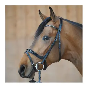 Zaumzeug Reiten Kavalkade Ivana KavalSH4 image-1