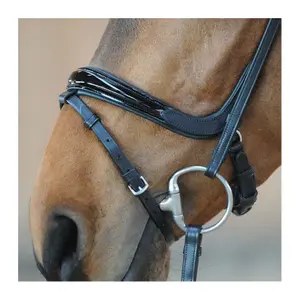 Zaumzeug Reiten Kavalkade Ivana KavalSH4 image-2