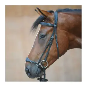 Uzda do jazdy konnej Kavalkade Levana image-0