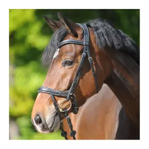 Zaumzeug Reiten Kavalkade Ivy Plus image-1