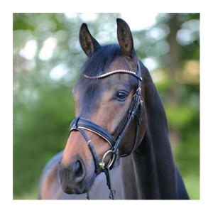 Riding bridles Kavalkade Rose image-1