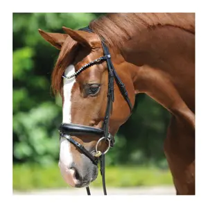 Riding bridles Kavalkade Grey image-0