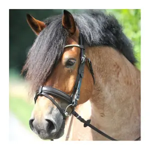 Riding bridles Kavalkade Clinchesse image-2