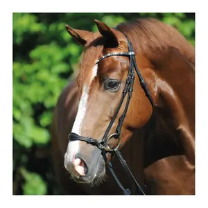 Riding bridles Kavalkade Fiala image-1