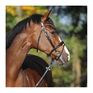 Uzda do jazdy konnej Kavalkade Reyna KavalSH4 image-1