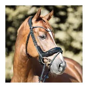 Rijhoofdstellen Kavalkade Ivella KavalSH4 image-1