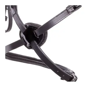 Cabrestantes Kavalkade Lucia image-4