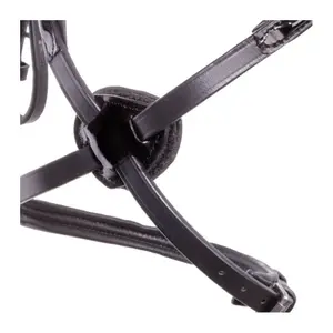 Cabrestantes Kavalkade Lucia image-4