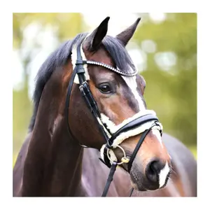 Bridon en cuir Kavalkade Joyce image-0