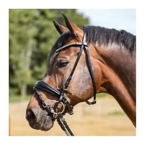 Bridle Kavalkade Ayana KavalSH4 image-0