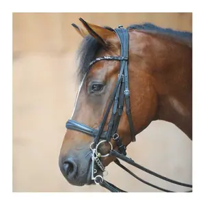 Briglie doppie combinate per l'equitazione Kavalkade Ivonne image-2