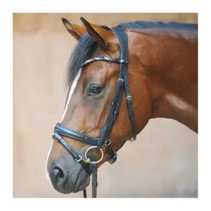 Briglie doppie combinate per l'equitazione Kavalkade Ivonne image-1