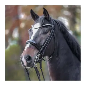 Riding bridles Kavalkade Weymouth - Fleur image-1