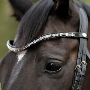 Frontal para cavalo Kavalkade Crown image-2