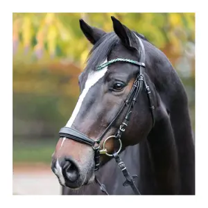 Front Kavalkade Sparkle image-1