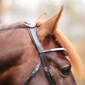 Open horse riding breastplate with bridge Kavalkade Cre8 Malou image-6