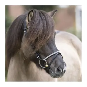 Banda nasal inglesa para a cabeçada islandesa Kavalkade Hvítur Aradis image-3