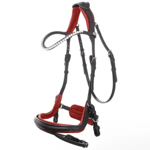 Doppelter Zaumzeugbezug aus Leder Kavalkade Caliano Via image-1