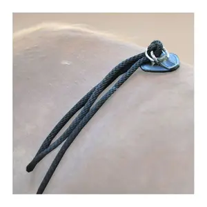 Horse longe reining Kavalkade HO image-2