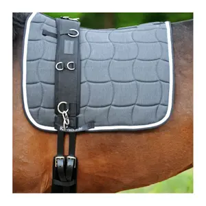 Longiergurt für Pferde mit Polsterung Kavalkade image-0