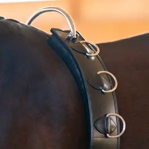 Cincha de cuero para caballos Kavalkade Frame image-1
