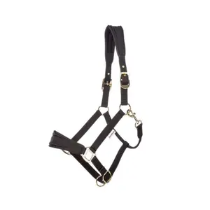 Nylon halter for horse Kavalkade Memory image-1