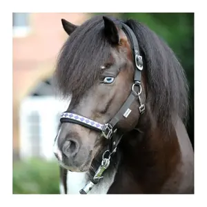 Nylon halter for horses Kavalkade Iceland-Classic image-1