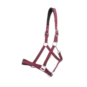 Licol pour cheval Kavalkade Perlon Classic-Simple image-0