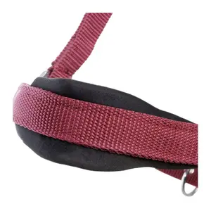 Licol pour cheval Kavalkade Perlon Classic-Simple image-1