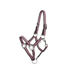 Halter dla koni w dwóch różnych rozmiarach Kavalkade Shorty image-0