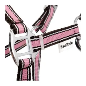 Halter dla koni w dwóch różnych rozmiarach Kavalkade Shorty image-1