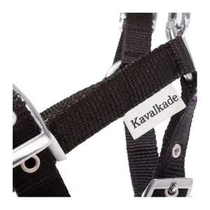 Kantar dla źrebiąt i roczniaków Kavalkade image-1