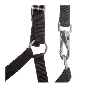 Kantar dla źrebiąt i roczniaków Kavalkade image-2