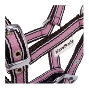 Kantar dla źrebiąt i roczniaków Kavalkade image-1