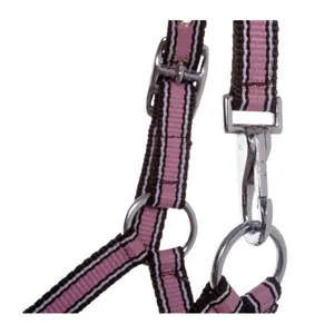 Kantar dla źrebiąt i roczniaków Kavalkade image-2