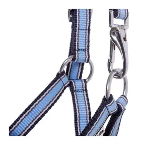 Kantar dla źrebiąt i roczniaków Kavalkade image-2