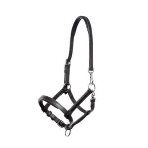 0291070850213-lederen-halster-voor-veulens-kavalkade-zwart-zilver
