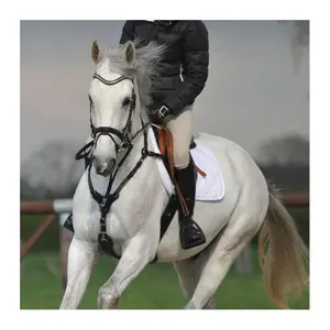 Cinta de seguridad para caballos Kavalkade SecureX image-0