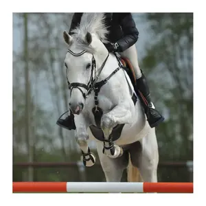 Cinta de seguridad para caballos Kavalkade SecureX image-1
