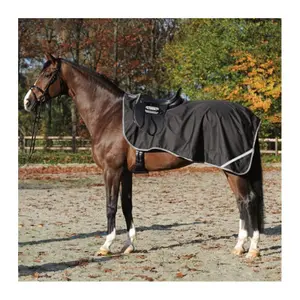 Tapetes para cavalos de exercício ao ar livre Kavalkade image-0