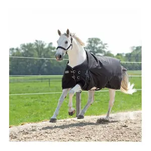 Outdoor horse blanket Kavalkade Alaska IV 300 g image-0
