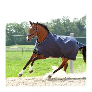 Outdoor paardendeken Kavalkade Montreal 100 g
