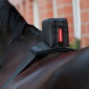 Oplyst armbånd Kavalkade Horselight image-0